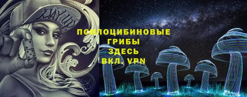 Псилоцибиновые грибы Psilocybe  Скопин 